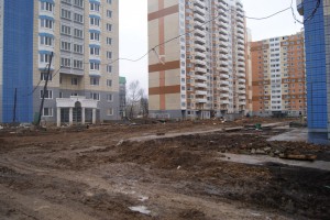 DSC06008.jpg