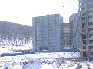 IMGP4238.jpg