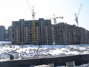 IMGP4239.jpg