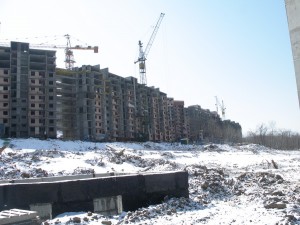 IMGP4240.jpg