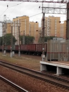 IMG_20150519_150526.jpg