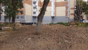 IMG_20150706_125941.jpg (280.18 КБ) 1564 просмотра IMG_20150706_125941.jpg