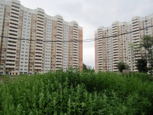 IMG_2175.JPG