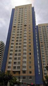 9167621.jpg