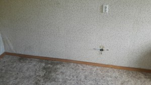 20150805_124525.jpg
