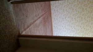 20150805_124433.jpg