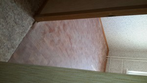20150805_124327.jpg