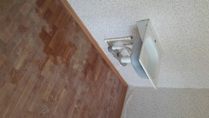 20150805_124121.jpg