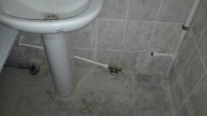 20150805_124034.jpg