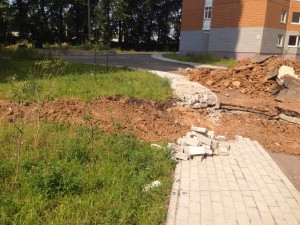 IMG_0447.JPG