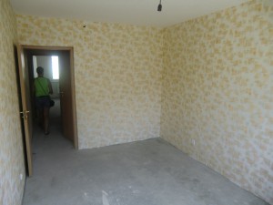 CIMG7903.JPG