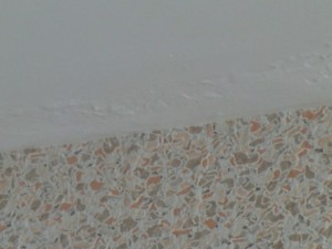 CIMG7908.JPG