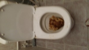20150816_163447.jpg