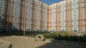 2015-08-10-2511.jpg