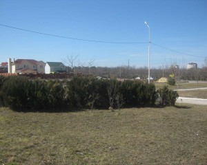 IMG_0968_thumb.jpg