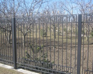 IMG_0970_thumb.jpg
