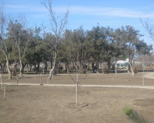 IMG_0979_thumb.jpg