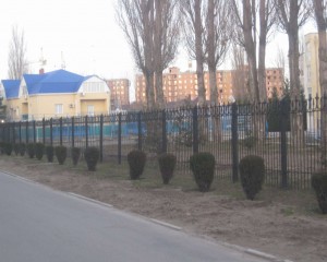 IMG_0987_thumb.jpg