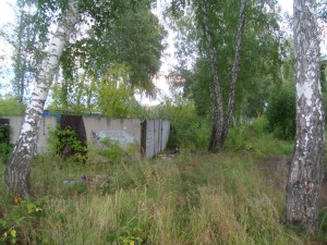 VII - 26.08.2015 [].JPG