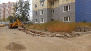 IMG_20150826_110430.jpg
