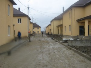 IMG_8528.JPG