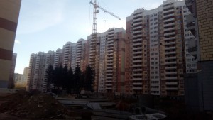 IMG_20151016_081402.jpg