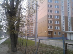 IMG_20151018_152350.jpg