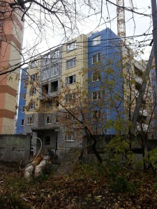 20151027_101558.jpg