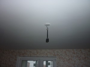 P1180007.JPG
