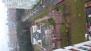 DSC_1796.JPG
