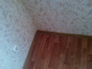IMG_20151211_131449.jpg