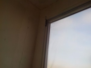 IMG_20151211_131823.jpg
