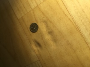 image.jpeg