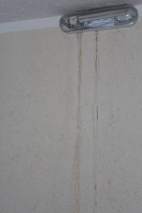 IMG_2532.JPG