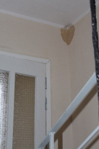 IMG_2534.JPG