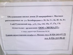 11012016944.jpg