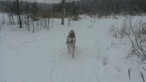 20150124_104934.jpg