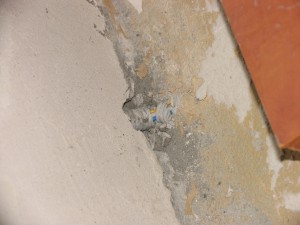 IMG_3435.JPG