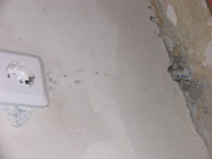 IMG_3434.JPG