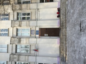 image.jpeg