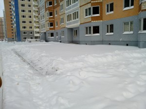 IMG_20160121_113255.jpg