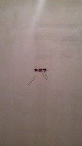 20160121_184854.jpg