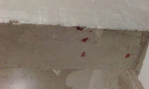 IMG_20151202_233533.jpg