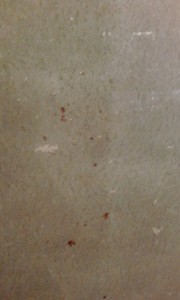 IMG_20151202_233544.jpg