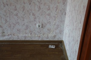 IMG_8889.JPG