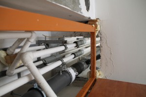 IMG_8910.JPG