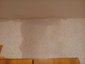 IMG_20160129_214118.jpg