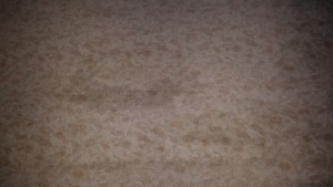 20160206_171746.jpg