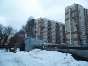 DSCI6170.JPG