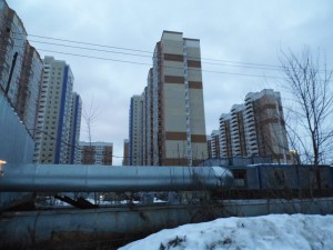 DSCI6175.JPG